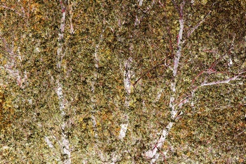 T 069B